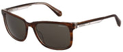 Superdry Acetate Acetate Rectangular Occhiali da sole - Brown