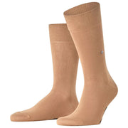 Confezione regalo di calzini natalizi Burlington Everyday - Marrone/Beige