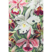 kind-bag-london-museum-collection-medium-reusable-bag---haeckel-pink-33688969