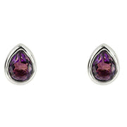 Beginnings February Semi-Precious Birthstone Earrings - Silver/Purple