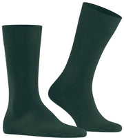 Calzini Falke Family - Pine Grove Green