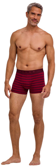 Boxer a righe Falke Daily Comfort - Bordeaux