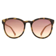 French Connection Soft Preppy Sunglasses - Peach/Brown