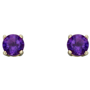 Elements Gold February Birthstone Stud Earrings - Purple/Gold